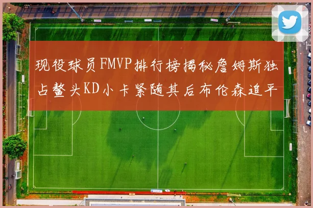 现役球员FMVP排行榜揭秘詹姆斯独占鳌头KD小卡紧随其后布伦森追平库里约基奇等