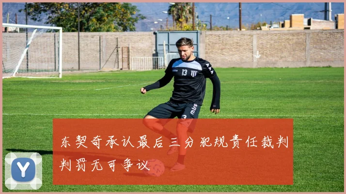 东契奇承认最后三分犯规责任裁判判罚无可争议