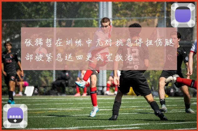 张稀哲在训练中无对抗急停扭伤腿部被紧急送回更衣室救治